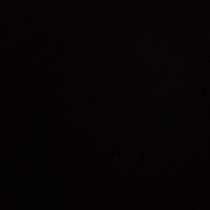 Meet your Posher, Rhonda